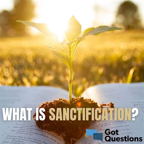 Xanification .